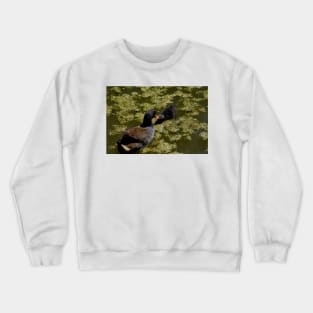 Dinnertime Crewneck Sweatshirt